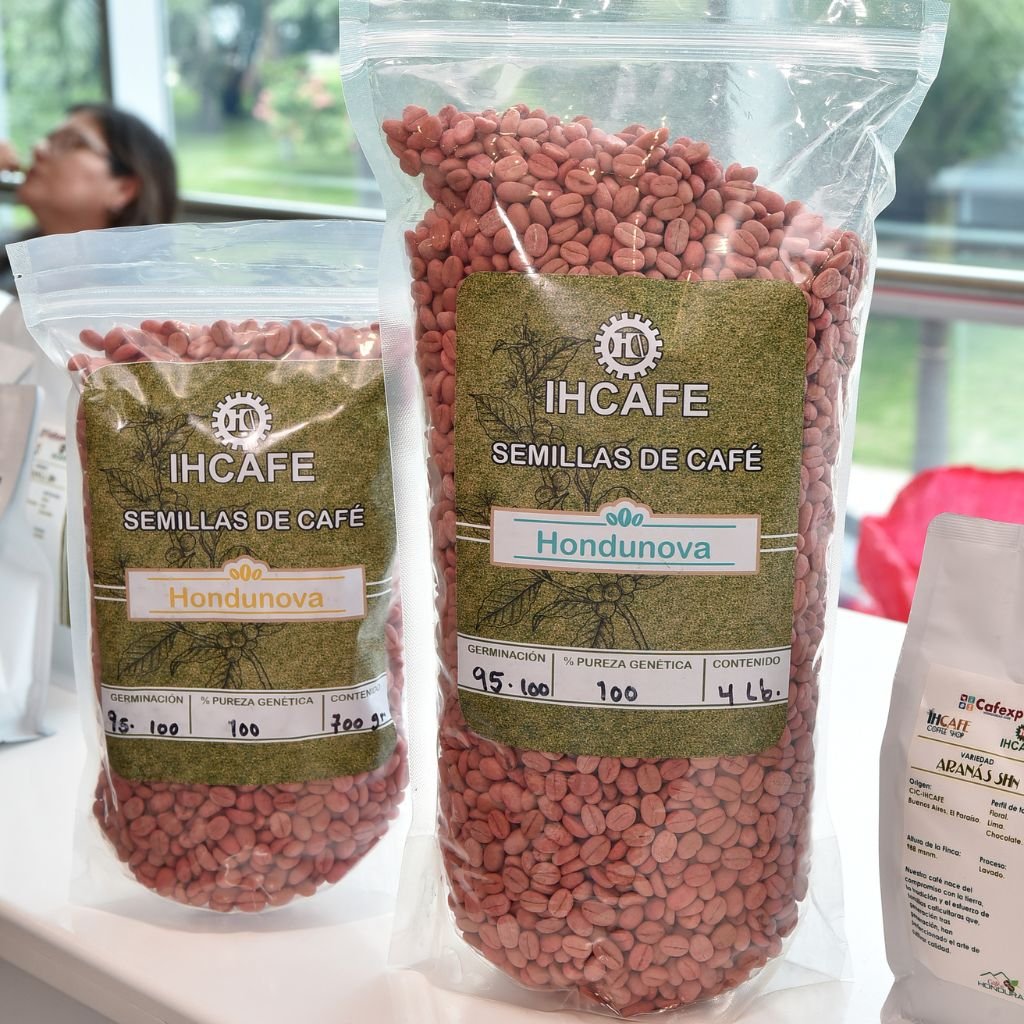 Semillas de la variedad Hondunova.