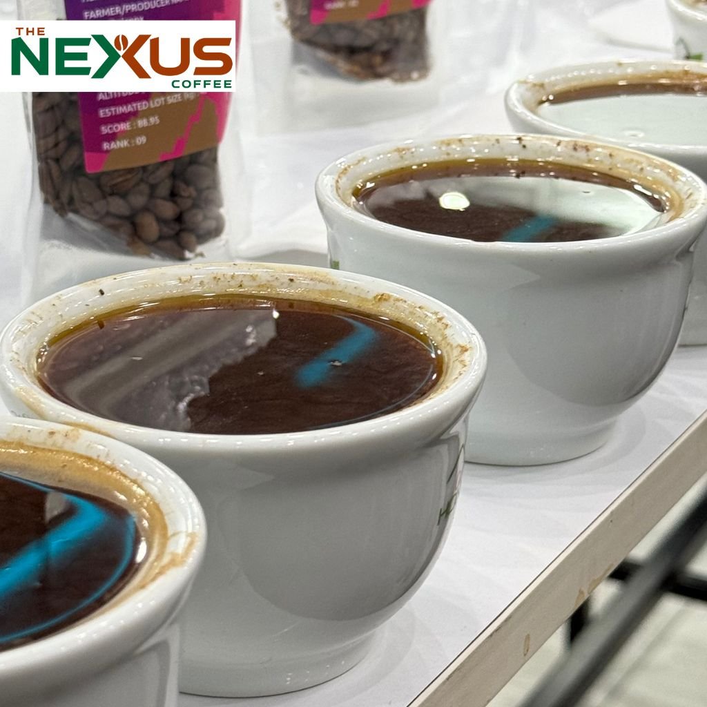 Los mejores microlotes del país competirán en Taza de Excelencia México 2026 en Huatusco, Veracruz.