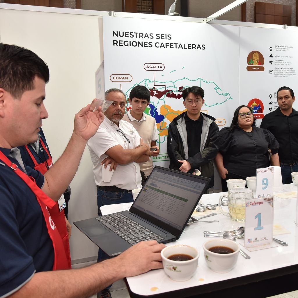 Expertos de varios países participan en la catación y subasta de café en Cafexpo 2026.
