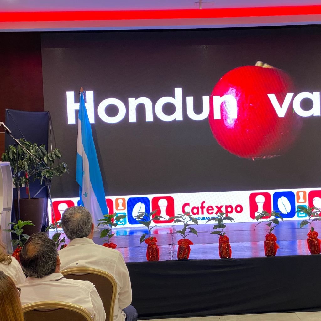 El Ihcafe presentó la variedad Hondunova al inaugurar Cafexpo 2026.