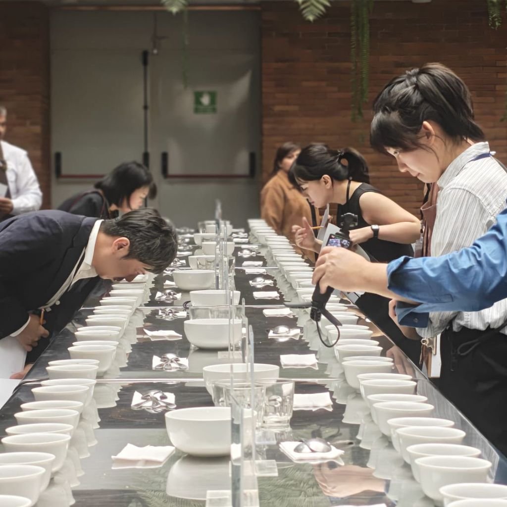 Empresarios de Taiwán realizan una cata de café durante su visita a Guatemala en marzo de 2026.