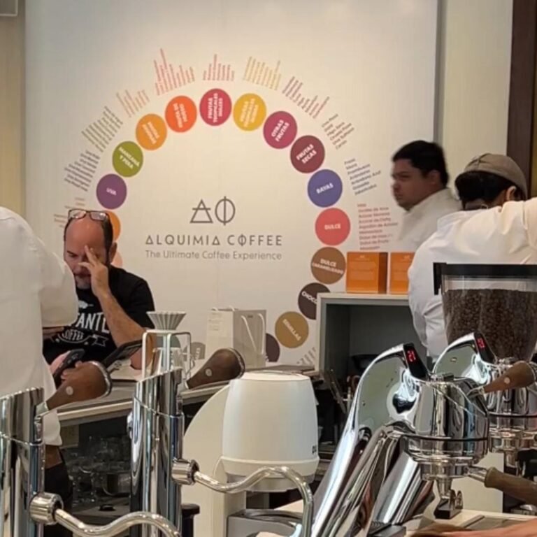 ¿De qué trata la famosa rueda de colores de los cafés? - The Nexus Coffee