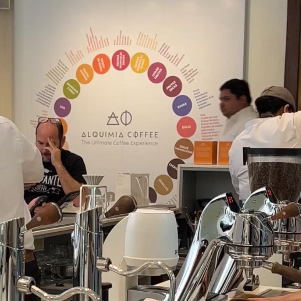 ¿De qué trata la famosa rueda de colores de los cafés? - The Nexus Coffee