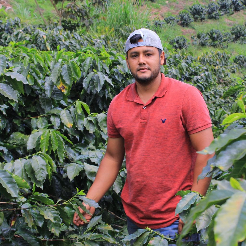 Luis Quintanilla, productor de café de Atima, Santa Bárbara, Honduras.