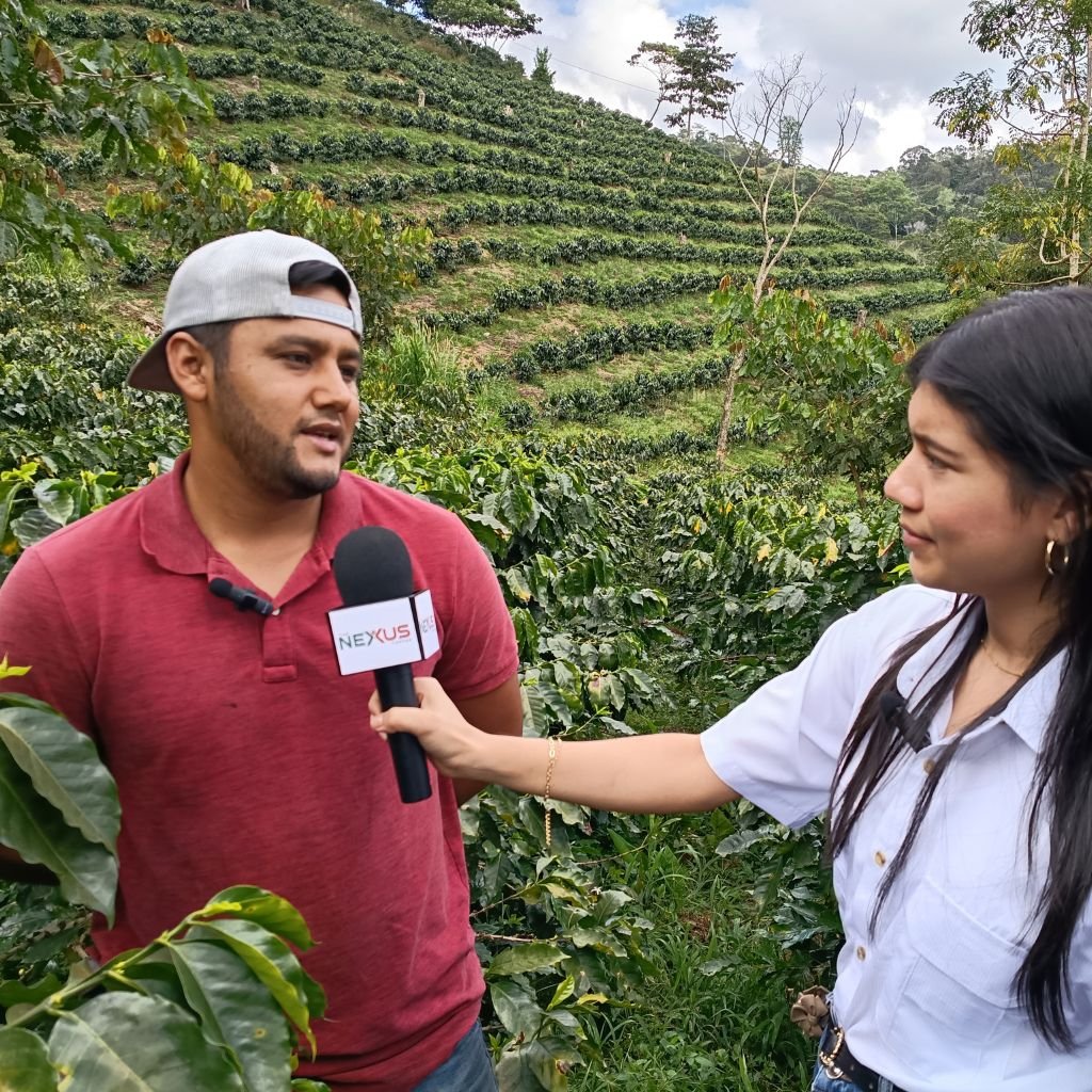 Luis Quintanilla al ser entrevistado por The Nexus Coffe en su finca de café, en Atima, Santa Bárbara, Honduras.