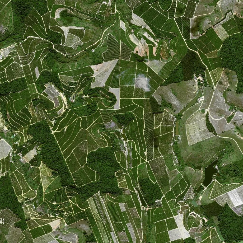 Plantaciones de café en Brasil en una imagen tomada por Pléiades Neo, constelación avanzada de satélites de observación terrestre de Airbus Defence and Space.