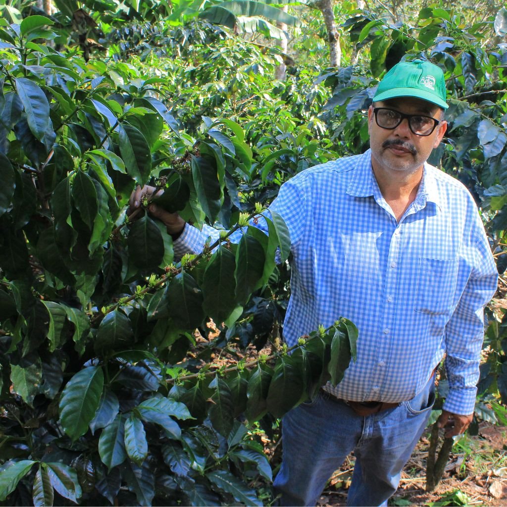 Mauro Cruz continúa con orgullo la tradición centenaria de su familia, que lleva 100 años dedicada a la producción de café en Honduras.
