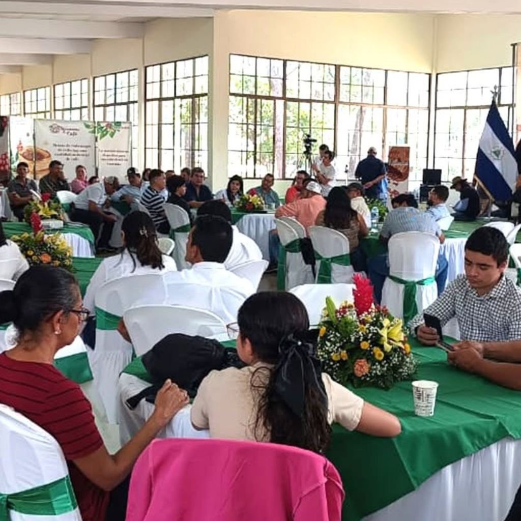 Ambiente durante la Subasta Electrónica Internacional Taza de Excelencia Nicaragua 2026, celebrada el 25 de junio de 2026. Productores, compradores y autoridades siguen en vivo los resultados que marcaron récord histórico con el lote ganador a US$140 por libra.