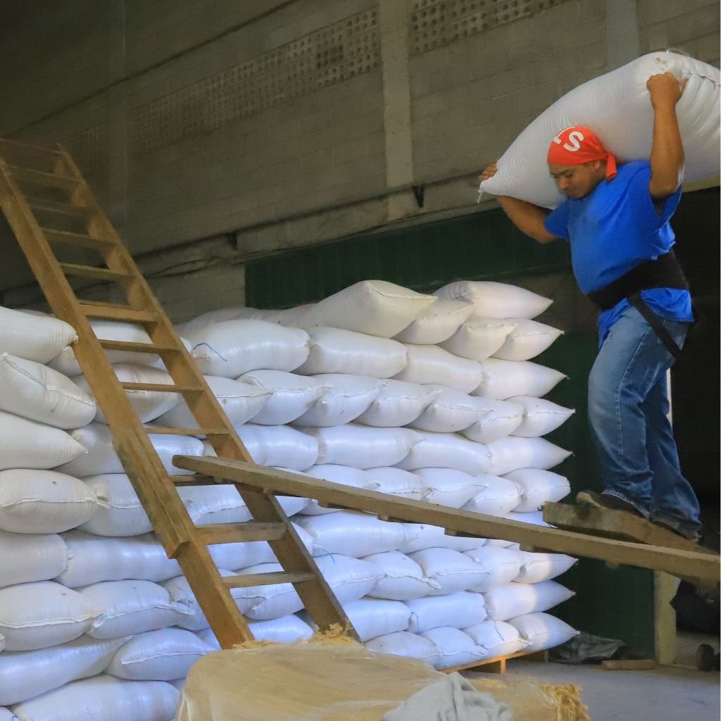 Un hombre carga un saco de café en una bodega de Cohorsil, una de las cooperativas exportadoras.