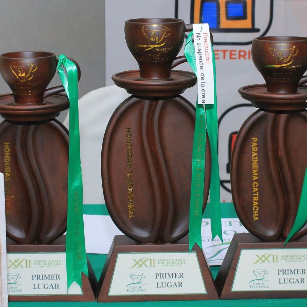 Entre el 1 y 5 de junio de 2026, un jurado internacional seleccionó los mejores cafés de Honduras que participaron en la subasta de Taza de Excelencia el 16 de julio de 2026.