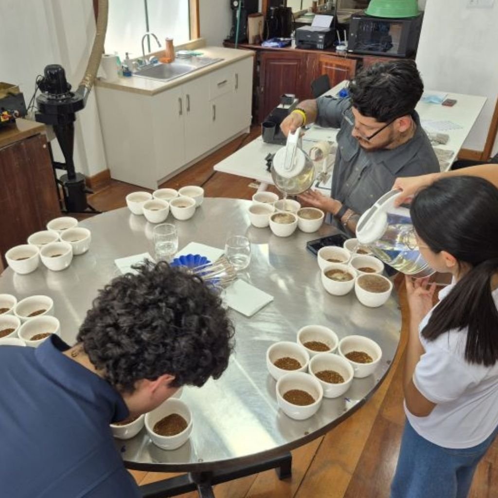 El equipo de Outlet del Café cata muestras en mesa redonda durante una sesión técnica de cupping.