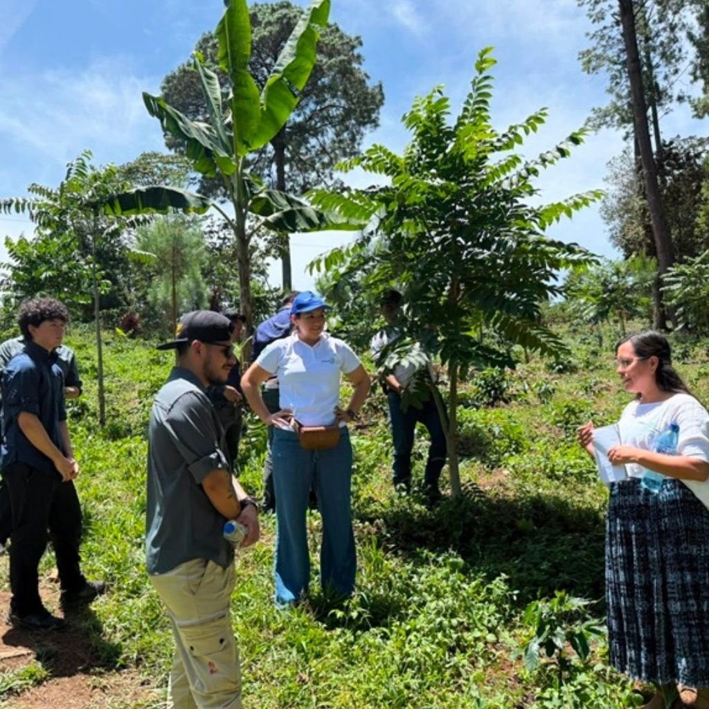 Representantes de Outlet del Café durante una visita a fincas de café de Guatemala.