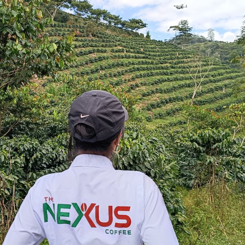 Periodistas de The Nexus Coffee presencian incremento del área cultivada y mejoras en fincas hondureñas.