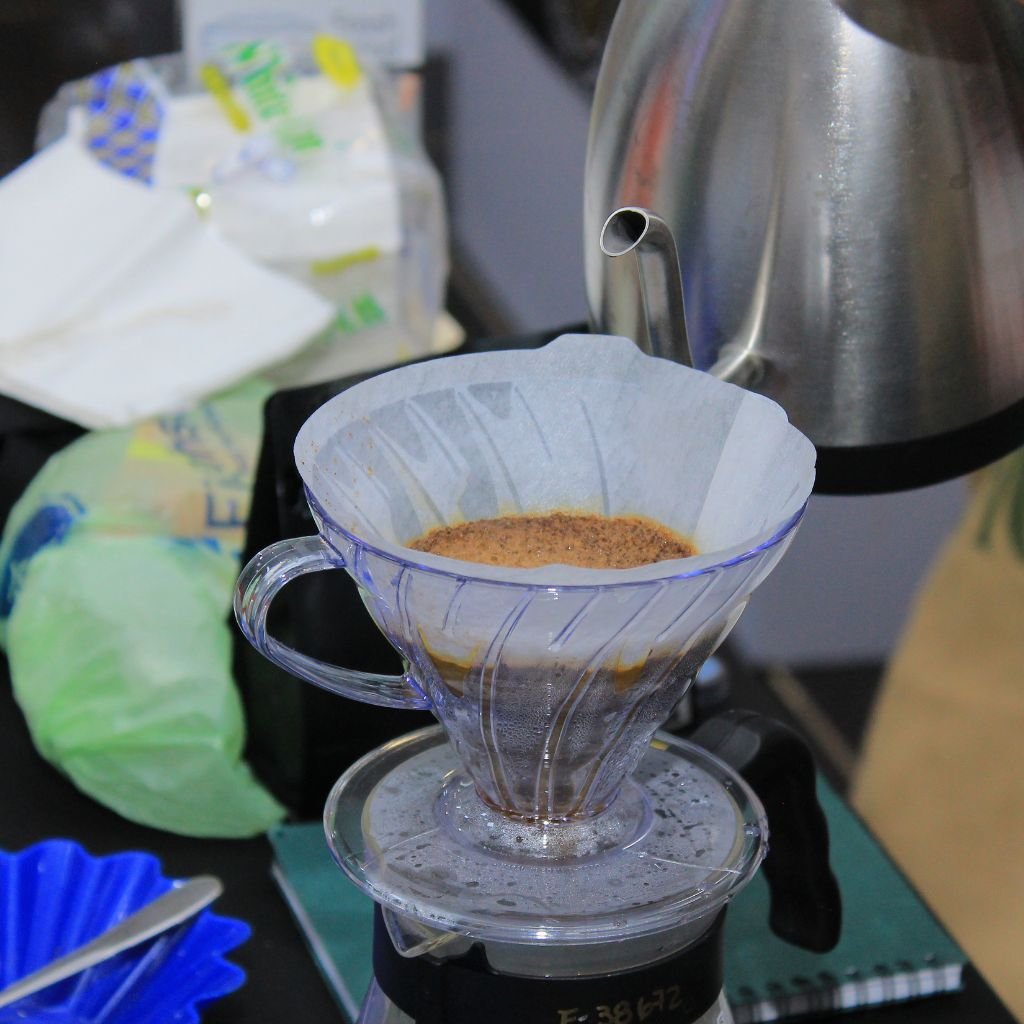 Café de Honduras: más volumen, calidad y US$2,288 millones en divisas durante la cosecha 2025/2026.