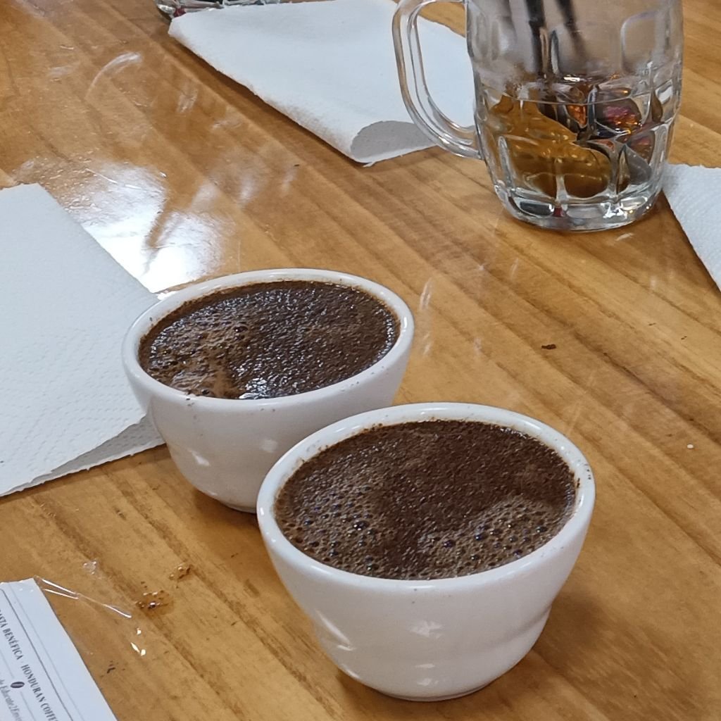 Dos tazas de café recién preparado reposan sobre la mesa durante una sesión de catación, donde se evalúan las características sensoriales y la calidad del grano producido en Honduras.